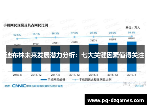 迪布林未来发展潜力分析：七大关键因素值得关注