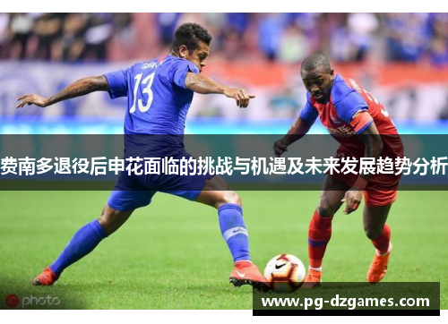 费南多退役后申花面临的挑战与机遇及未来发展趋势分析